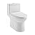 Daxton One Piece Elongated Dual Flush Toilet 1.1/1.6 GPF White