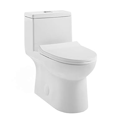 Daxton One Piece Elongated Dual Flush Toilet 1.1/1.6 GPF White