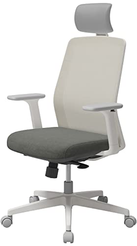 Sidiz T40 Se Ergonomic Office Chair : Home Office Chair For Light Users With Reclining Tilt Lock, Headrest, 3D Armrests, Mesh Back Computer Desk Chair, Alternative Gaming Chair (Light Gray) #TOP6