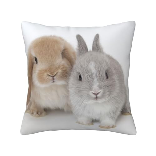 クッションカバー 兎 動物図案 ウサギさん 30X30cm 柔らかい 抱き枕カバー 装飾枕カバー シンプル おしゃれ 隠れるファスナー 座布団カバー ソファ背当て 部屋飾り 洗える 車用 ソファ用 寝具用 オールシーズン
