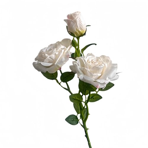 t`[Y 3 AeB[N łGbW hCt[ 5 ͂Ȃ N`iV V~[gt[ ԑ A[gt[ VN rO ItBX X iX  p[eB[ eCxg Ƒc ? CeA 