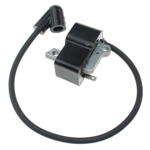 BC2235 BC2236 CC2235 CC2236 GC2236と互換性のあるIgnition Coilモジュールは、544127001 502493701 544127002に適合します