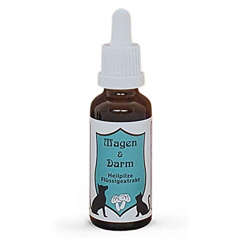 CatAmore Vitalpilze Flüssigextrakt für Tiere Heilpilze Mykotherapie | Magen & DARM | Nahrungsergänzungsmittel 30ml Cover