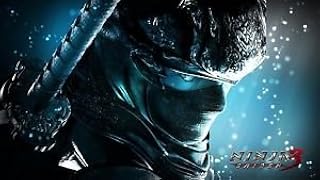 Bingirl 4754 Anime Fantasy Gaiden Ninja Poster Sword Warrior Canvas Print Art Job 24x42