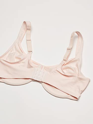 Image of Olga Sheer Leaves Minimizer Bra, 34DD, Rosewater