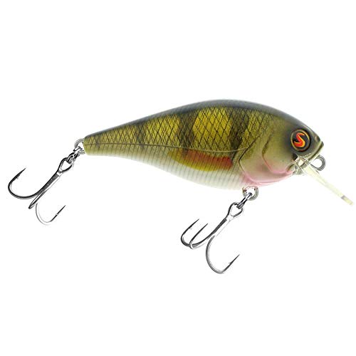 Biggie 4404414 67 Rattle – Fast Floater – Wobbler/Crankbait + + Pro de pesca cebo de los Estados Unidos + +, Real Perch