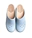 Women's Wooden Clogs from Sweden, US 5-5.5 - BLOMMA [EU 36 True Blue]
