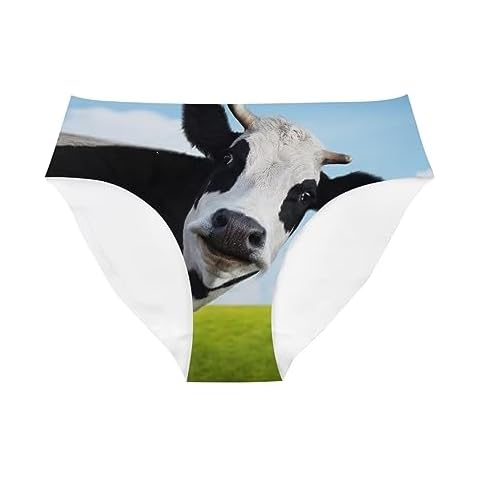 Aoopistc Cow Seamless Hipster Panties, Lightweight Soft and Smooth Panties for Girls & Women, Size M Cover