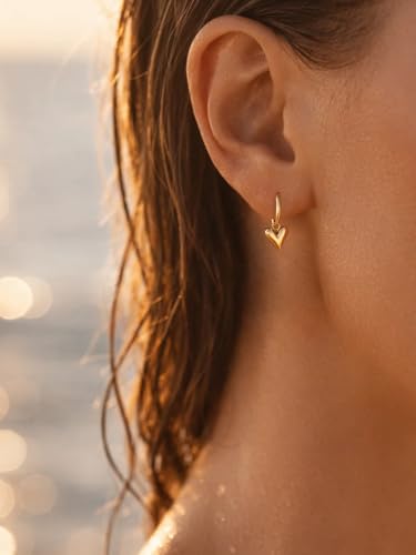 Image of Rubans Demi Fine Stainless Steel Hoop Earrings Daily Gift for Women & Girls