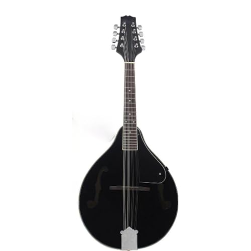 AR[XeBbN}hy S 8 }hÓTIȃfBbNy A X^C}h obNpbNzANZT[t(Black)