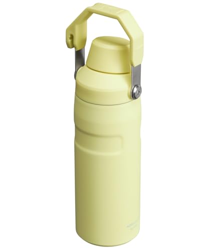 Image of Stanley IceFlow Fast Flow Water Bottle | Angled Spout Lid | Lightweight & Leakproof for Travel & Sports | Insulated Stainless Steel | BPA-Free