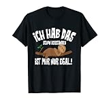 ICH HAB DAS VERSTANDEN Lustiges Faultier Chillen Relaxen T-Shirt