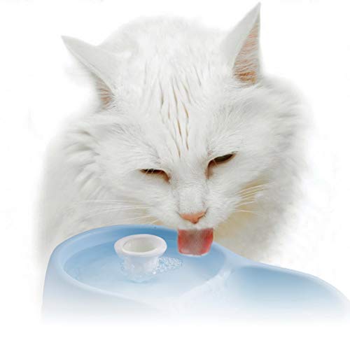 Fontaine Chat CatH2O 2L pour l'eau du salon - 7