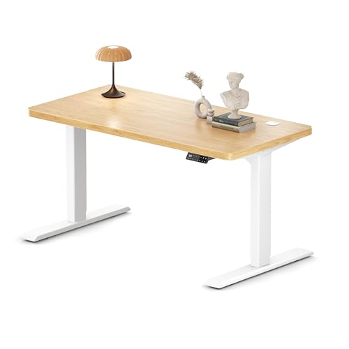 MAIDeSITe Höhenverstellbarer Schreibtisch 120x60cm - Elektrisch Schreibpult Höhenverstellbar 3-stufige mit 2 Energieeffizient‌ Motoren -Stabil & Flüsterleiser Arbeitsplätze Traglast 160kg -S