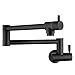 DuranRyan Pot Filler Faucet Wall Mount Single Hole Two Handle Faucet with Swing Arm, Cold Water Only, Matte Black Finished