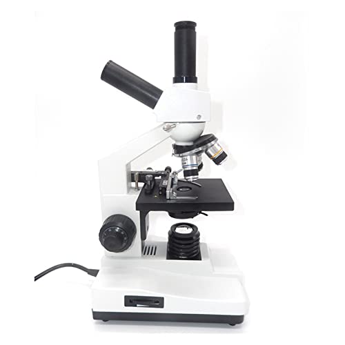 Microscopio digital 1600X HD de alta ampliación para experimento biológico escolar