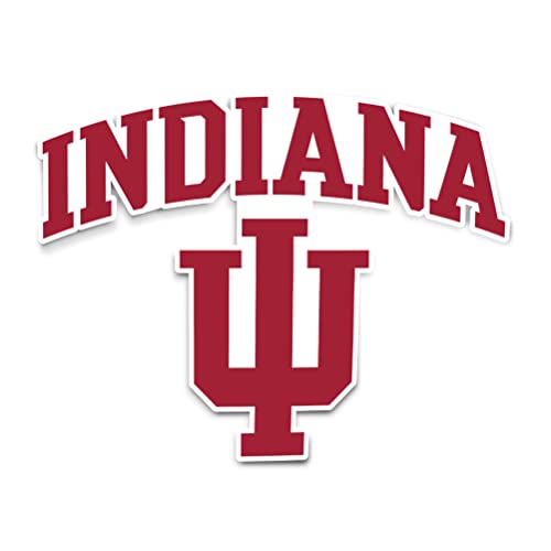 Desert Cactus Indiana University Sticker Bloomington Hoosiers Vinyl Decal Laptop Water Bottle Car Scrapbook (IND 1)