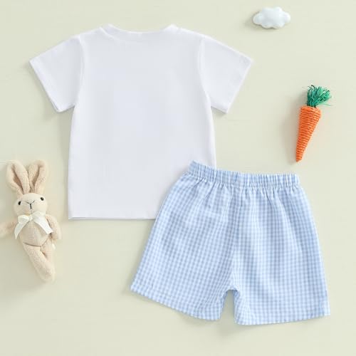 Image of Toddler Baby Boy Easter Rabbit Outfit Short Sleeve Bunny Carrot Smocked T-shirt Elastic Waist Shorts Summer Clothes