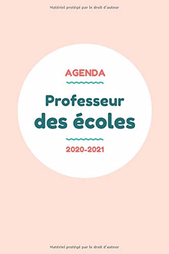 Télécharger Agenda Professeur des écoles 2020-2021: Agenda scolaire pour enseignant 2020 2021 - Super complet e livre En ligne