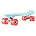 Playshion Complete Skateboards 22 Inches for Kids Boys Girls Beginners, Aqua