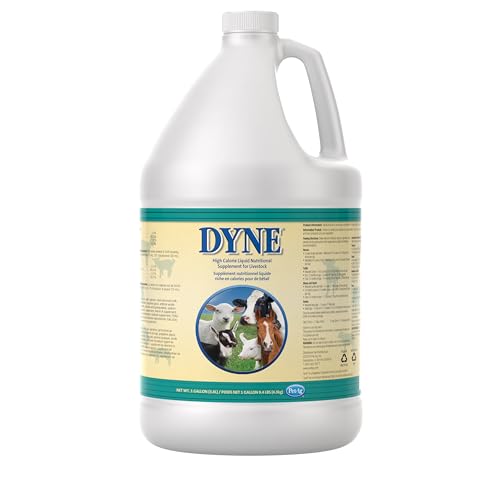 PetAg Dyne High Calorie Liquid Nutritional Supplement for Livestock - 1 Gallon - Includes Added Vitamins - Excellent for Underweight Stressed or Recovering Animals