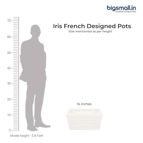 Image of Bigsmall Designed Plant Pots, Premium Durable Polymer Flower Pots for Indoor & Outdoor Plants - Lightweight, Stylish, and Weather-Resistant Garden Planters (Iris-Grey Marble, 14 Inch)