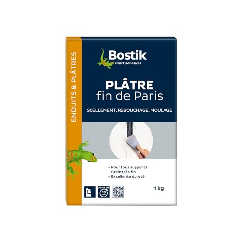 Bostik - Plâtre Fin de Paris - Scellement, Rebouchage, Moulage - Intérieur - Tous Supports - Prise Rapide - Couleur : Blanc - 1 Boîte Carton 1 kg