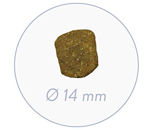 Bosch Plus Forelle + Kartoffel 2,5kg
