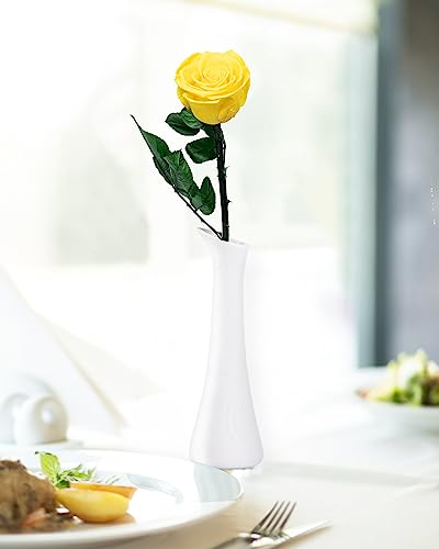 Image of Yellow Flowers for Delivery Prime, Preserved Yellow Roses Flower Gifts for Women, Real Roses Single Rose Gifts for Her, Mom Birthday Gifts from Daughter,, Valentines Flowers