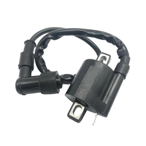 Bobina de encendido para scooter 125cc y motores ATV de 200cc o 250cc 2