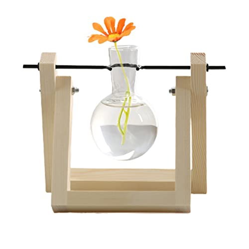 Lazyspace Terrario para plantas de vidrio de escritorio con soporte de