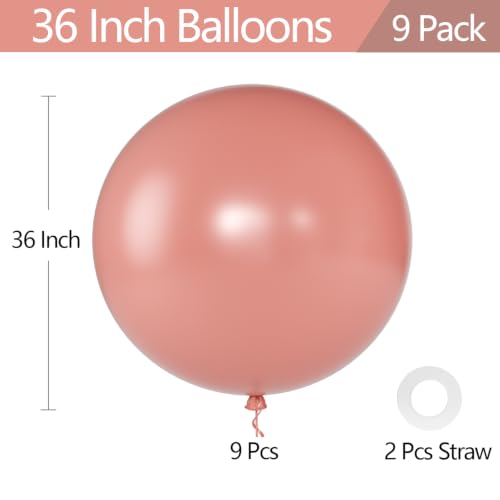 Image of KALOR Blush Giant 36 Inch 9pcs Large Latex Balloons