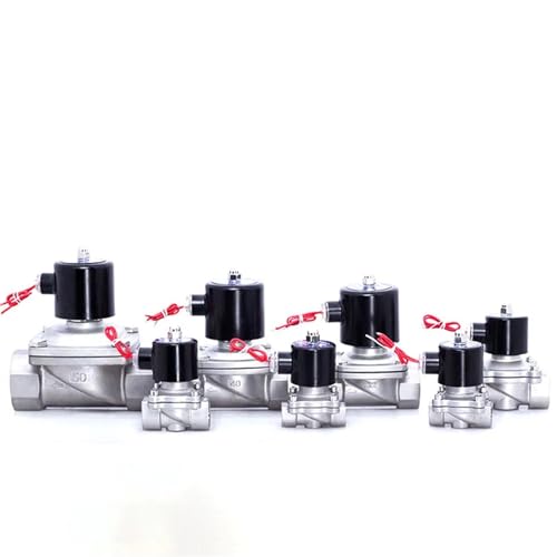 Électrovanne en acier inoxydable DN25 AC220V haute résistance durable