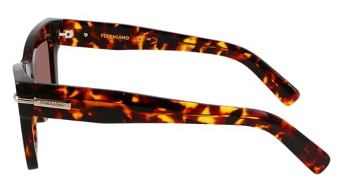 Sunglasses SF 2031 S 242 Dark Tortoise3