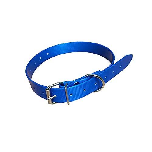 Collier pour chien en polyuréthane, collier en plastique facile à laver, dimensions longueur 65 cm, largeur 25 mm et épaisseur 2,5 mm. Couleur bleue haute...