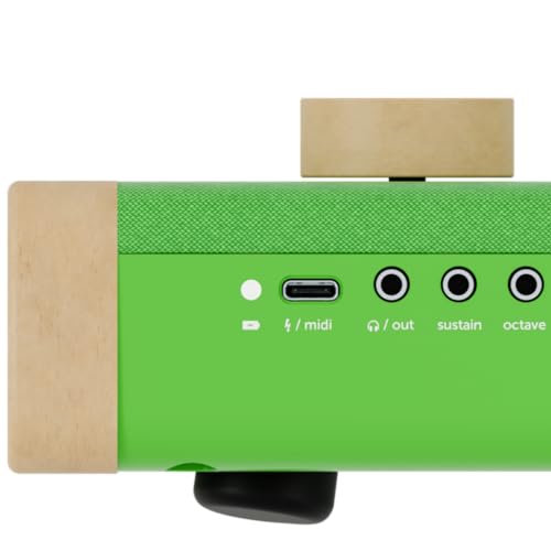 Image of Loog Digital Piano - Portable Keyboard for Beginners with Musician Grade Sound, MIDI Over USB-C Rechargeable Musical Educational Instrument (Loog x Duolingo piano)