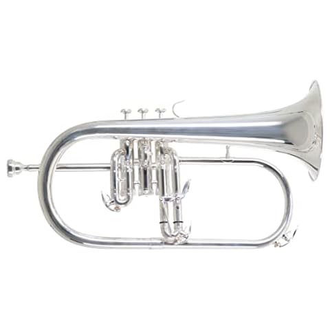 Roy Benson Bb Flügelhorn MOD.FH-302S versilbert, golgmessing Schall, inkl. Etui Cover