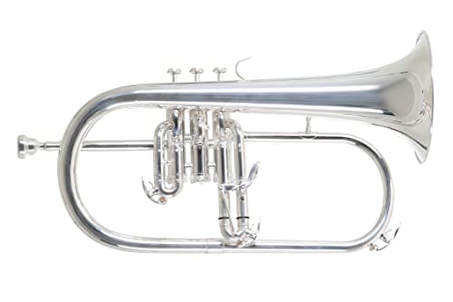 Roy Benson Rb701097 Flicorno in Sib Fh-302S