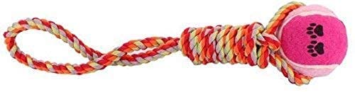 RvPaws Rope Tug Toy with a Hard Tennis Ball Dog Chew Toy (18-inch) (B09GRXPY4V) Amazon Price History, Amazon Price Tracker