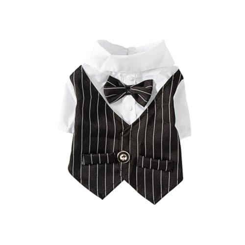 INOOMP �y�b�g�X�[�c�ߑ� ���^���p�a�m�h���X �t�ăt�H�[�}���E�F�f�B���O�p�[�e�B�[ ���L���p ���S�n���K �h���X�A�b�v�t�@�b�V���� �u��