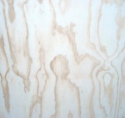 Multistrato Compensato Fenolico Pino Cileno Marino mm 12 x 1200 x 2400 WBP