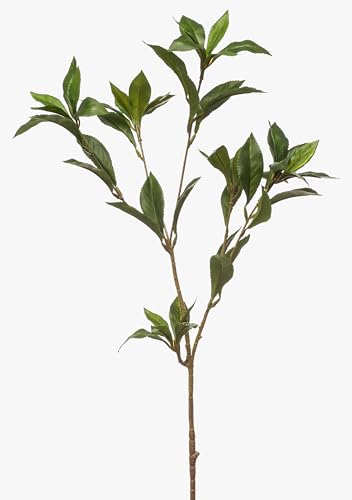artplants.de Branche Artificielle de Laurier ITRELK, Verte, 90 cm - Branche de Laurier décorative