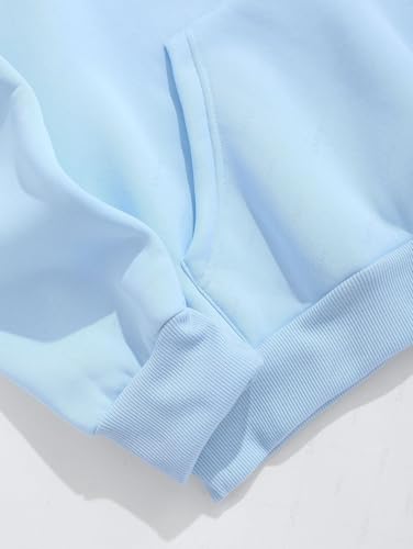 ZAFUL Men's Letters Embroidered Raglan Sleeve Quarter Zip Fleece Vintage Pullover Sweatshirt3