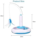 PETTOM B086TSLMJH lato 4