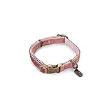 Manten a tu mascota en forma y activa gracias a estos productos!