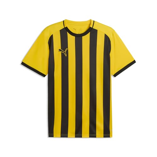 Maillots Puma Teamliga26 Striped Jersey maillot de foot homme