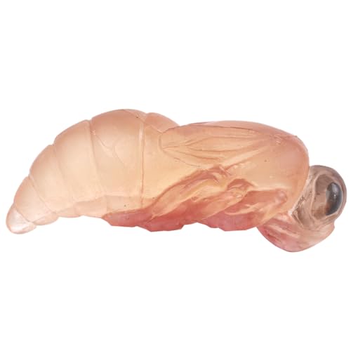 Namvo 4-teiliges Bienen-Lebenszyklus-Insektenfiguren-Set – Realistischer pädagogischer Adapter für das Lernen im Vorschulalter, Insekten-Wachstumszyklus-Modell, interaktive Lehrhilfe für