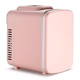 Mini Fridge, 4L/6 Can Portable Cooler & Warmer Freon-Free Small Refrigerator