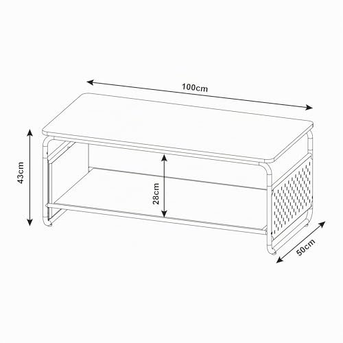 Table basse style intemporel blanc et chêne gris avec étagère en acier - 3