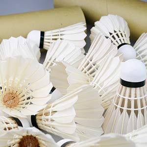 Amazon | 頑張らないバドミントン研究会 バドミントン シャトル